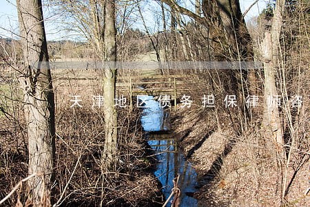 天津地区债务担保律师咨询网站 天津地区债务担保律师咨询网站