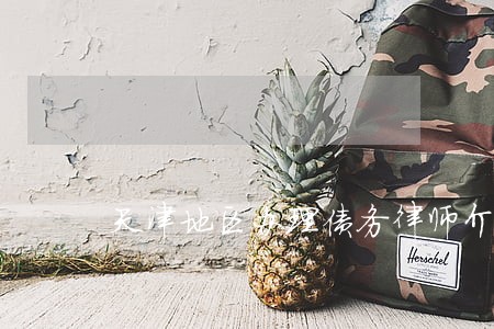 天津地区办理债务律师介绍 天津地区办理债务律师介绍