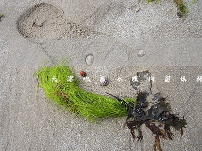 天津地区办理拘留保释律师 天津地区办理拘留保释律师