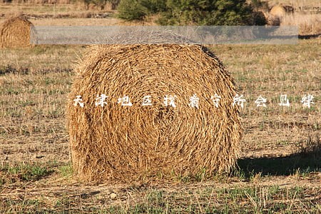 天津地区找看守所会见律师 天津地区找看守所会见律师