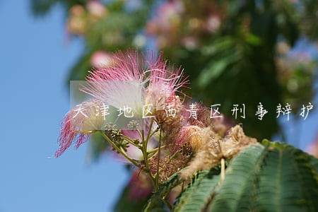 天津地区西青区刑事辩护律师 天津地区西青区刑事辩护律师