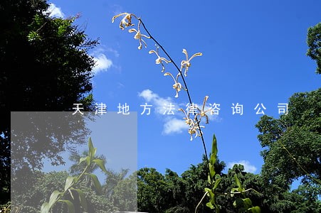 天津地方法律咨询公司 天津地方法律咨询公司
