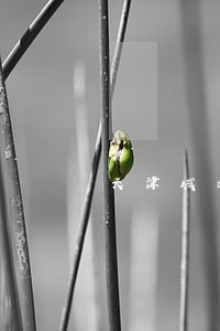 天津城南家园诉讼结果 天津城南家园诉讼结果