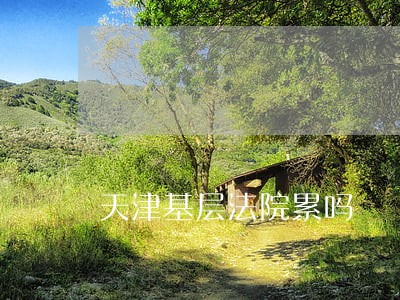 天津基层法院累吗 天津基层法院累吗