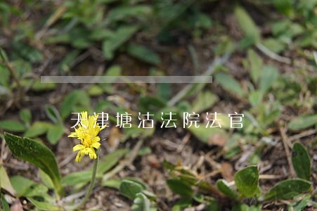 天津塘沽法院法官 天津塘沽法院法官