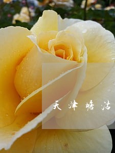 天津塘沽离婚律师事务所 天津塘沽离婚律师事务所