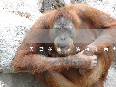 天津多家法院榜上有名 天津多家法院榜上有名