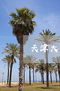 天津大债务方面的律师事务所 天津大债务方面的律师事务所