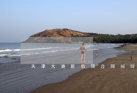 天津大港区借贷合同纠纷律师