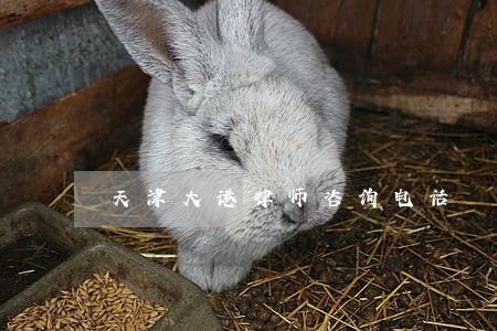 天津大港律师咨询电话 天津大港律师咨询电话