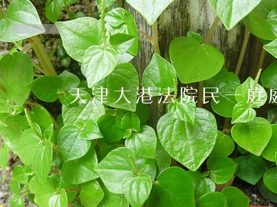 天津大港法院民一庭庭长