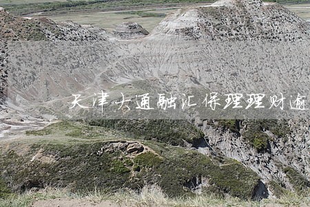 天津大通融汇保理理财逾期不归还 天津大通融汇保理理财逾期不归还