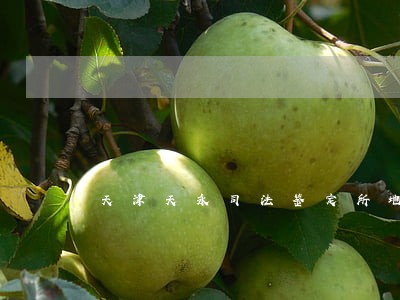 天津天永司法鉴定所地址 天津天永司法鉴定所地址
