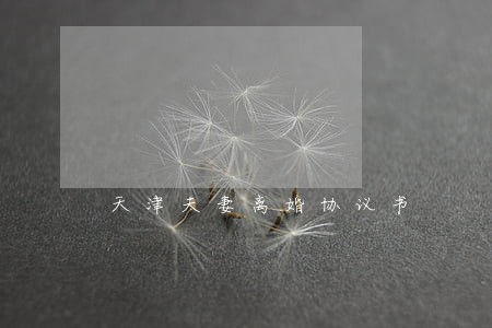 天津夫妻离婚协议书 天津夫妻离婚协议书