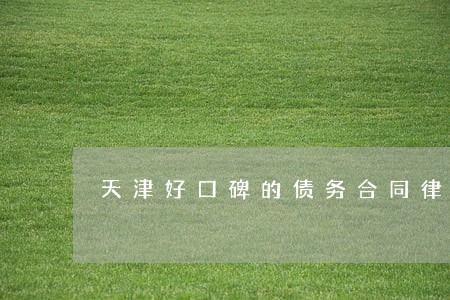 天津好口碑的债务合同律师事务所 天津好口碑的债务合同律师事务所