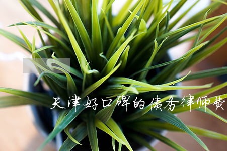 天津好口碑的债务律师费用多少 天津好口碑的债务律师费用多少