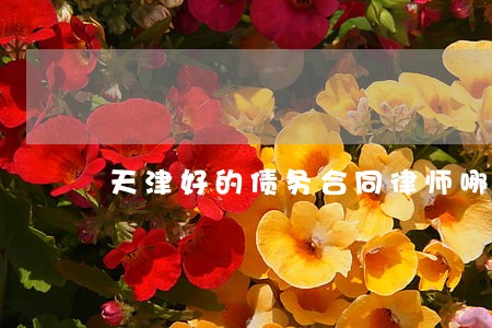 天津好的债务合同律师哪里找