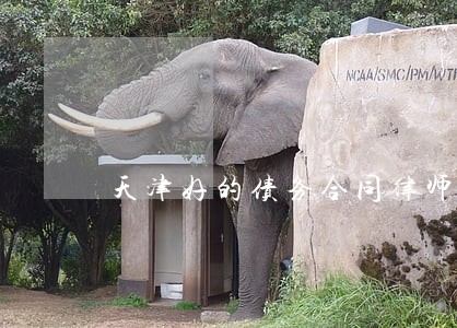 天津好的债务合同律师收费标准 天津好的债务合同律师收费标准