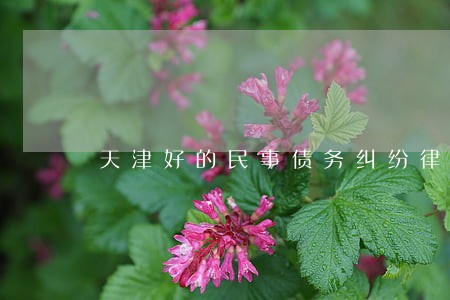 天津好的民事债务纠纷律师 天津好的民事债务纠纷律师