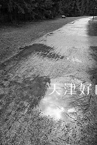 天津好的法律咨询报价 天津好的法律咨询报价