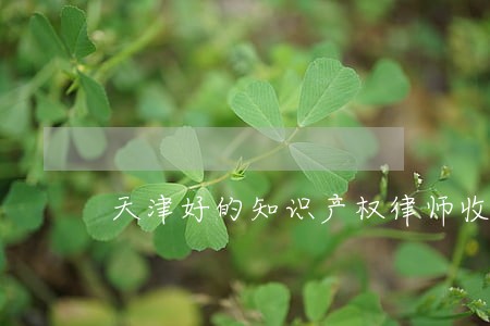 天津好的知识产权律师收费 天津好的知识产权律师收费