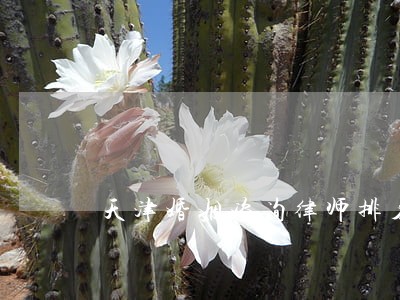 天津婚姻咨询律师排名 天津婚姻咨询律师排名