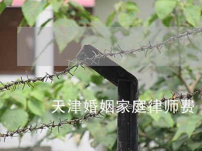 天津婚姻家庭律师费 天津婚姻家庭律师费