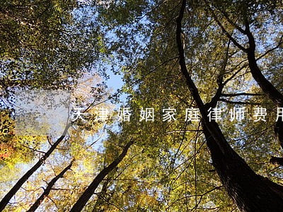 天津婚姻家庭律师费用 天津婚姻家庭律师费用