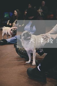 天津婚姻律师联系方式