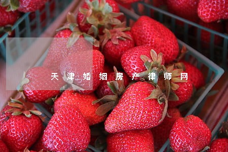 天津婚姻房产律师网 天津婚姻房产律师网