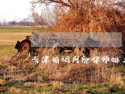 天津婚姻纠纷律师排名 天津婚姻纠纷律师排名