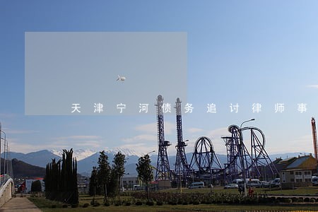 天津宁河债务追讨律师事务所 天津宁河债务追讨律师事务所