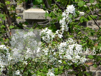 天津宁河区债权债务律师 天津宁河区债权债务律师
