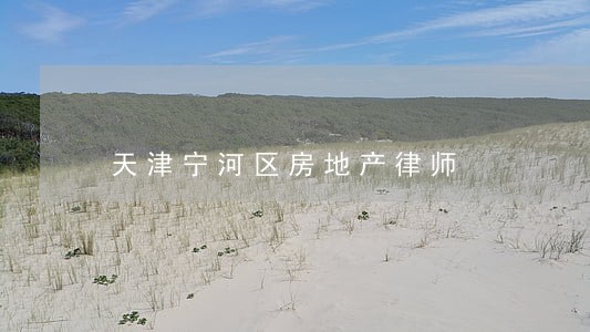 天津宁河区房地产律师