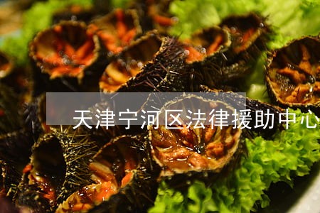 天津宁河区法律援助中心 天津宁河区法律援助中心