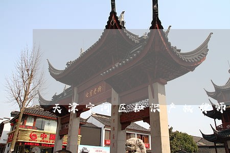 天津宁河区知识产权律师哪家好 天津宁河区知识产权律师哪家好