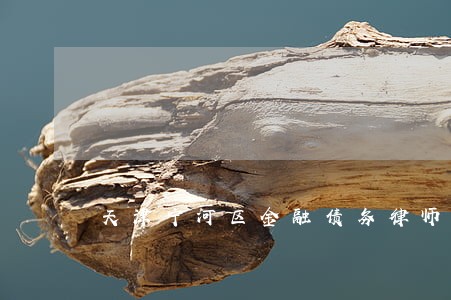 天津宁河区金融债务律师 天津宁河区金融债务律师