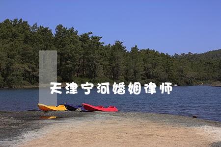 天津宁河婚姻律师 天津宁河婚姻律师