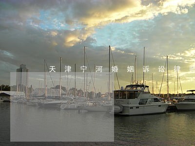 天津宁河婚姻诉讼律师 天津宁河婚姻诉讼律师