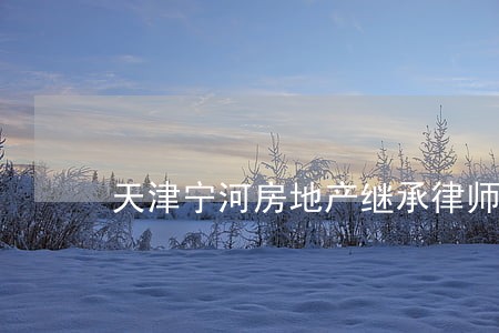 天津宁河房地产继承律师 天津宁河房地产继承律师