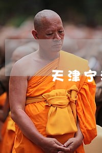 天津宁河湿地公园违法 天津宁河湿地公园违法