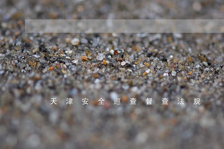 天津安全巡查督查法规