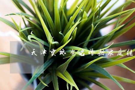 天津宝坻有名婚姻家庭继承法律师 天津宝坻有名婚姻家庭继承法律师