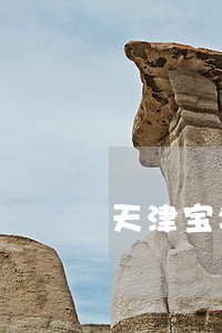 天津宝坻法院招人吗 天津宝坻法院招人吗