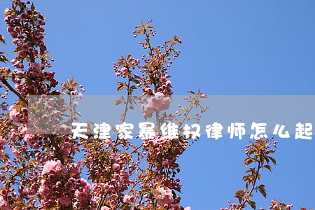 天津家暴维权律师怎么起诉 天津家暴维权律师怎么起诉