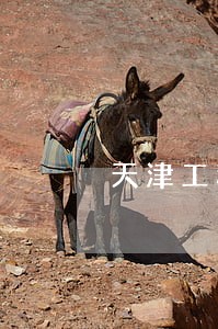 天津工程房产律师哪里找 天津工程房产律师哪里找