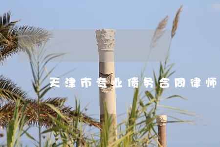 天津市专业债务合同律师收费标准 天津市专业债务合同律师收费标准