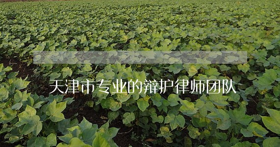 天津市专业的辩护律师团队 天津市专业的辩护律师团队
