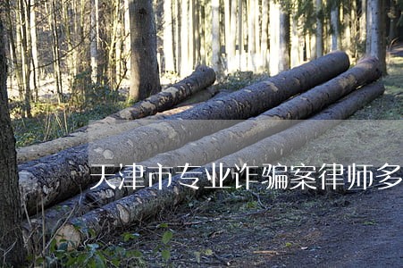 天津市专业诈骗案律师多少钱 天津市专业诈骗案律师多少钱
