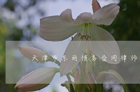 天津市东丽债务合同律师 天津市东丽债务合同律师